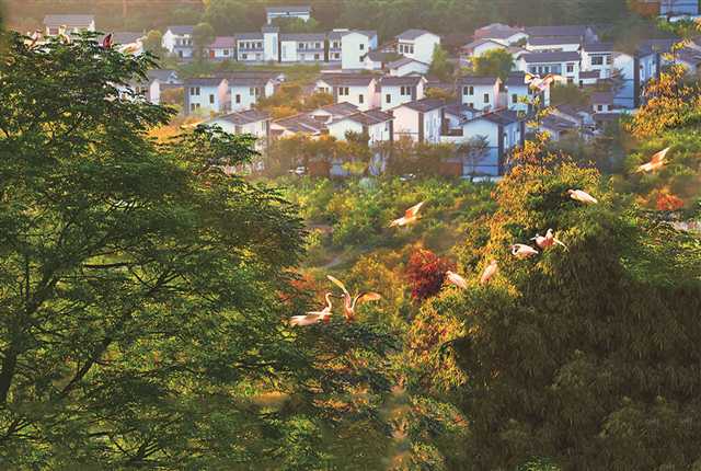 4f58a92ec5187de28e0f3c223eee6b46.jpg 2.jpg