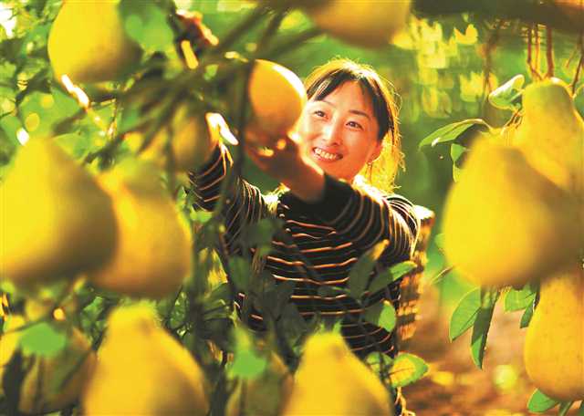 a610a6b38910ad2d3730fd0c4ef436ba.jpg 5.jpg